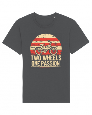 Two Wheels One Passion Retro Bicycle Distressed Sunset Anthracite