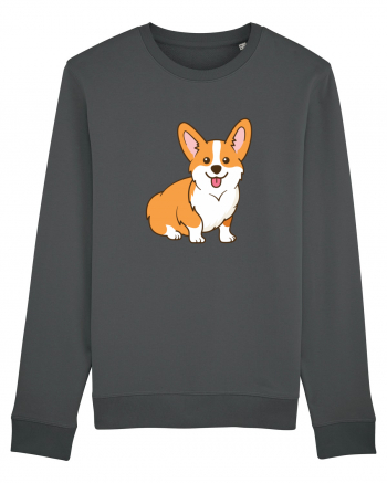 Corgi Anthracite