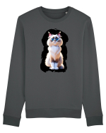 Pisicuță drăguță 1 Bluză mânecă lungă Unisex Rise