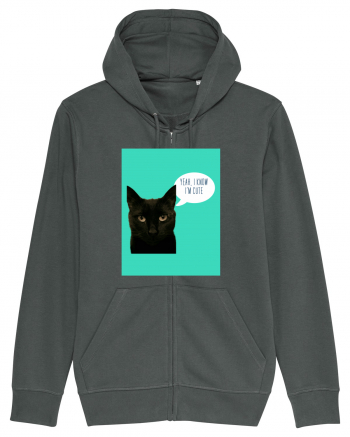 cute cat Anthracite