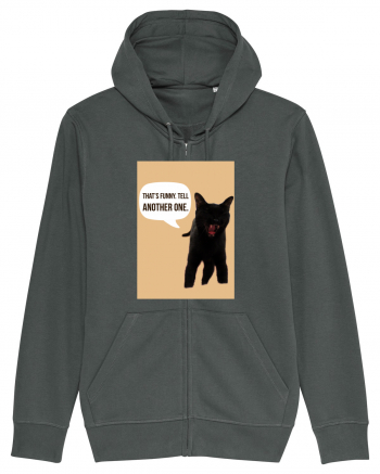 cat funny Anthracite