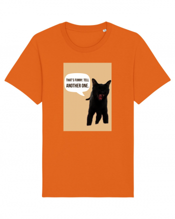 cat funny Bright Orange