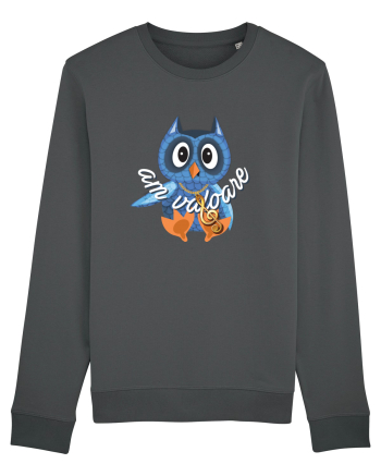 Pampsy - am valoare Anthracite