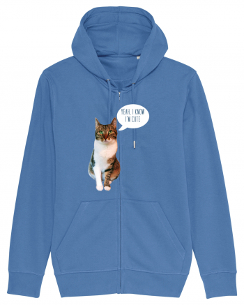 Cute Cat message Bright Blue