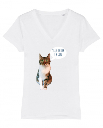 Cute Cat message White