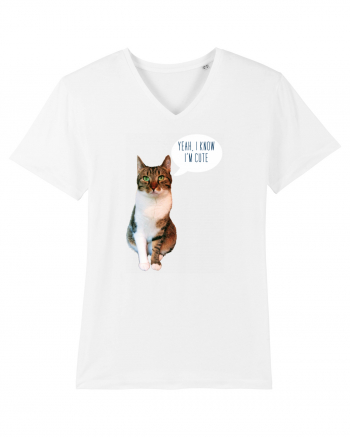 Cute Cat message White