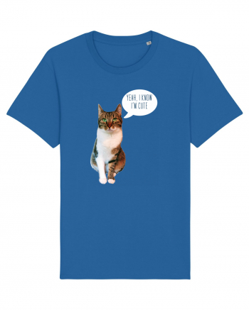 Cute Cat message Royal Blue