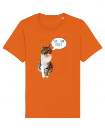 Cute Cat message Bright Orange