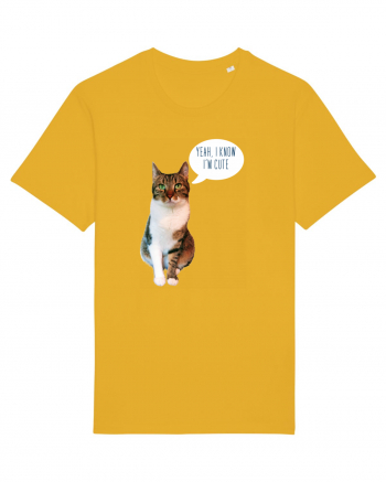 Cute Cat message Spectra Yellow