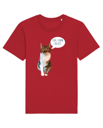 Cute Cat message Red