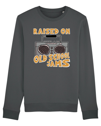 Raised On Old School Jams Hip Hop Anthracite
