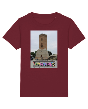 Targoviste Turnul Chindia Burgundy