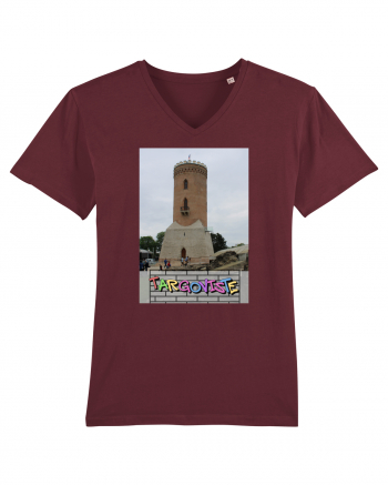 Targoviste Turnul Chindia Burgundy