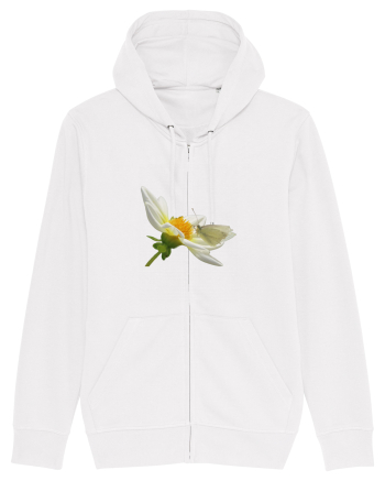 Floare si fluture alb White
