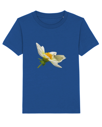 Floare si fluture alb Majorelle Blue