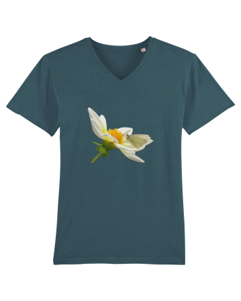 Floare si fluture alb Stargazer