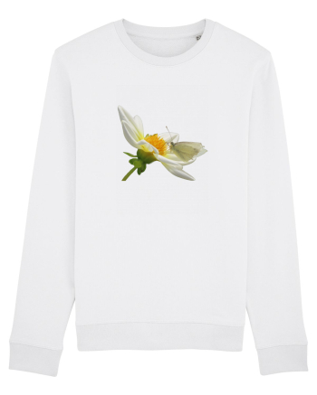 Floare si fluture alb White