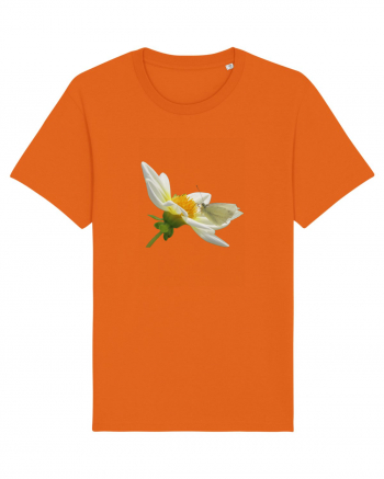 Floare si fluture alb Bright Orange