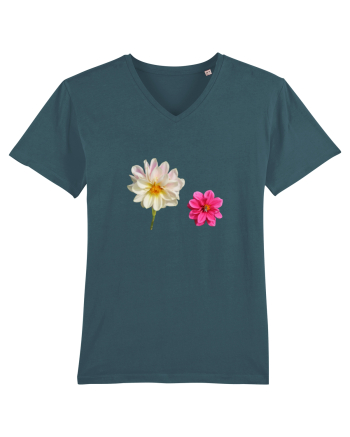 Doua flori Stargazer