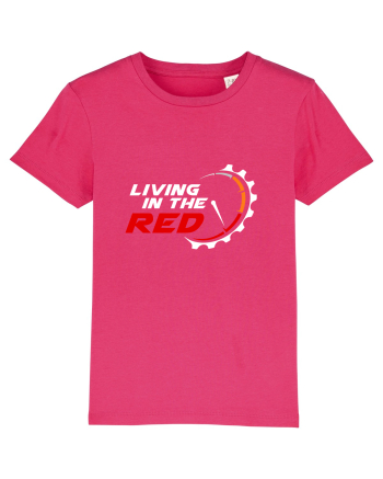 Living in the RED Raspberry
