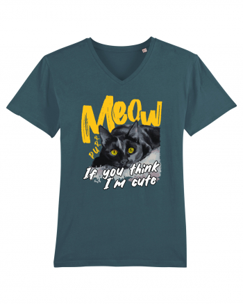 Meow - If you think I'm cute Stargazer