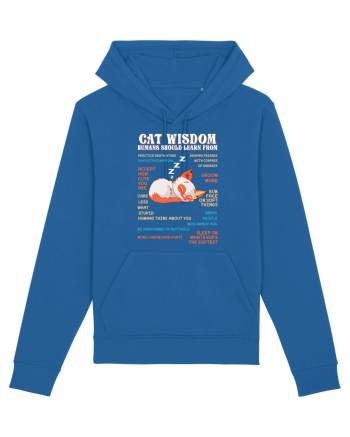 CAT WISDOM Royal Blue