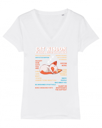 CAT WISDOM White