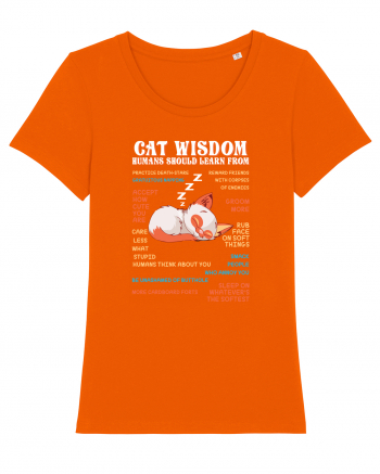 CAT WISDOM Bright Orange