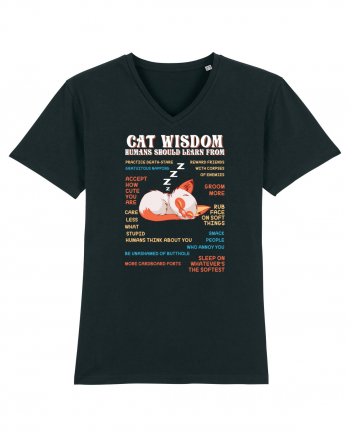 CAT WISDOM Black