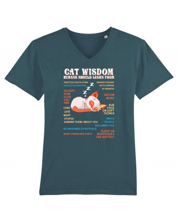 CAT WISDOM Stargazer