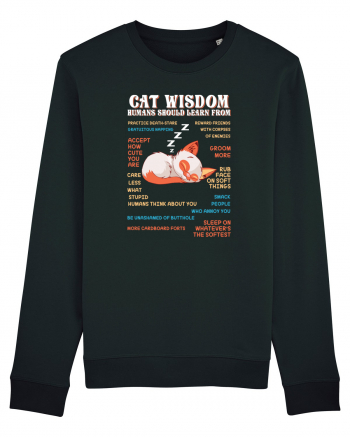 CAT WISDOM Black