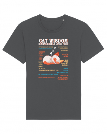 CAT WISDOM Anthracite