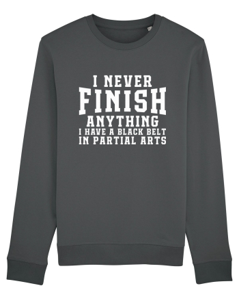I Never Finish Anything I Have A Black Belt In Partial Arts Anthracite