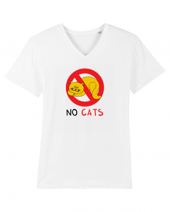 No cats White