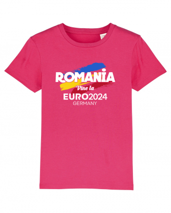 Romania Euro 2024 Raspberry
