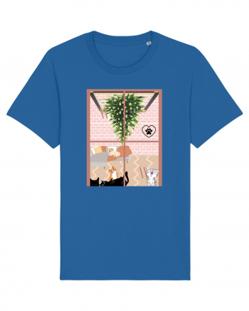 Cats and dog christmas Royal Blue