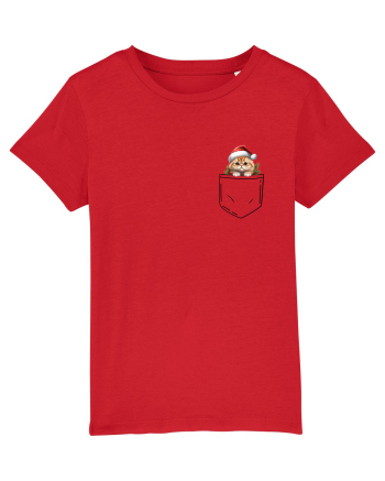 de Crăciun cu pisică in buzunar v02 Red