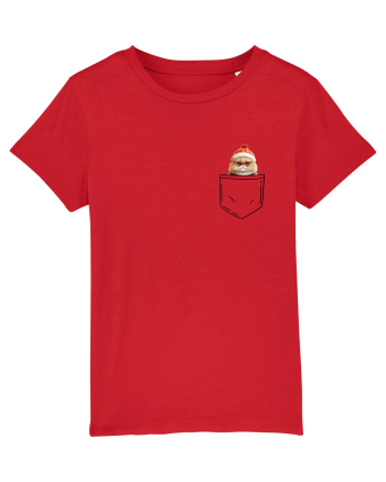 de Crăciun cu pisică in buzunar v03 Red