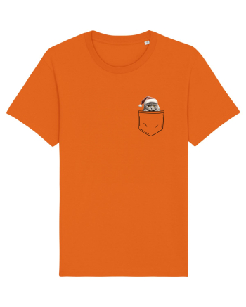 de Crăciun cu pisică in buzunar v06 Bright Orange