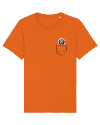 de Crăciun cu pisică in buzunar v07 Bright Orange