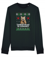 amuzant cu motive de Crăciun - Christmas is coming Bluză mânecă lungă Unisex Rise