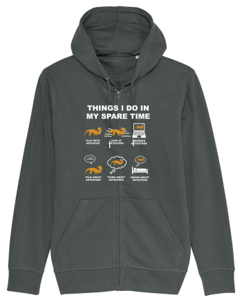ANTEATER Anthracite