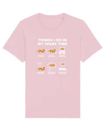ANTEATER Cotton Pink