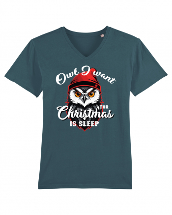 Owl I want for Christmas is sleep Stargazer
