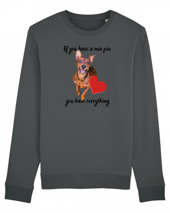 Pinscher love Anthracite