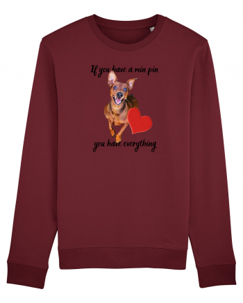 Pinscher love Burgundy