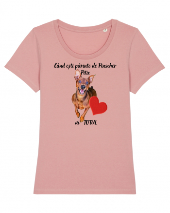 Iubitor de animale Pinscher Pitic Canyon Pink