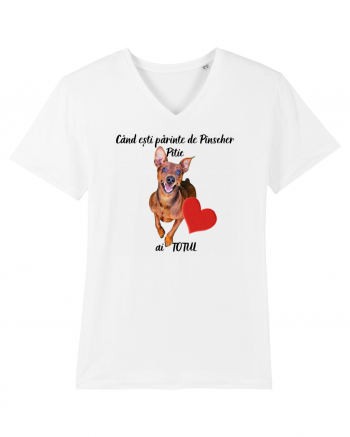 Iubitor de animale Pinscher Pitic White