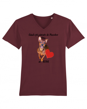 Iubitor de animale Pinscher Pitic Burgundy