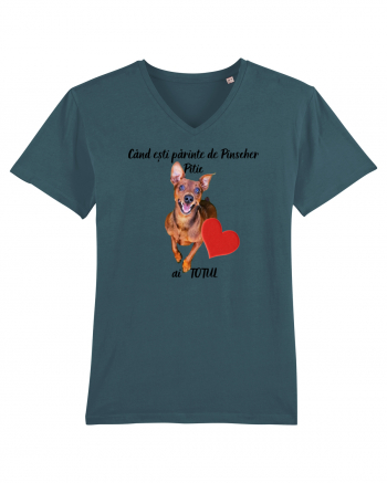 Iubitor de animale Pinscher Pitic Stargazer